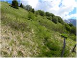 Planina Kuhinja - Planica below Krn